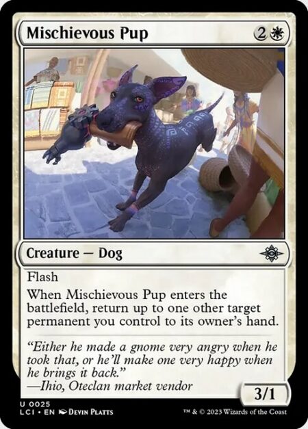 Mischievous Pup - Flash