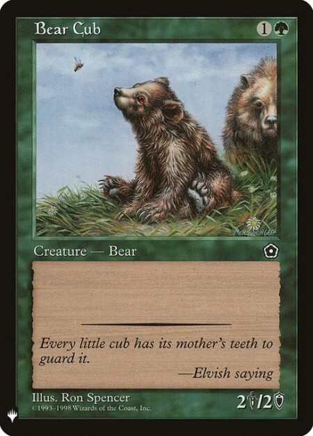 Bear Cub -