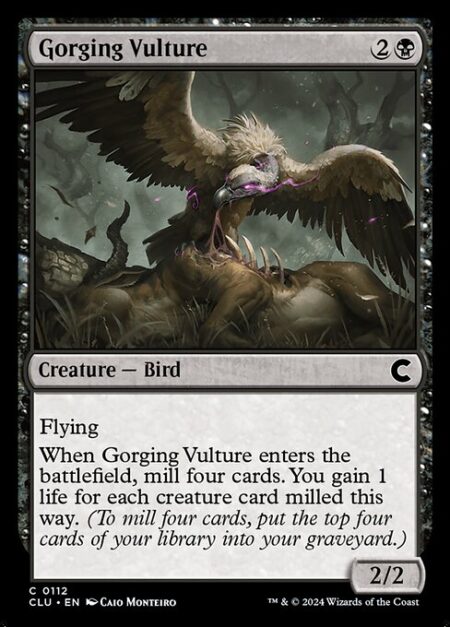 Gorging Vulture - Flying