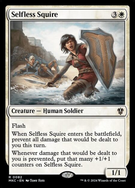 Selfless Squire - Flash