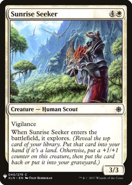 Sunrise Seeker - Vigilance