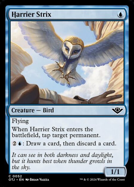 Harrier Strix - Flying